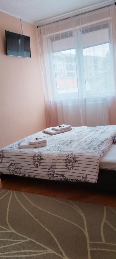 Apartament Giulia Apartment Fagaras Exterior photo